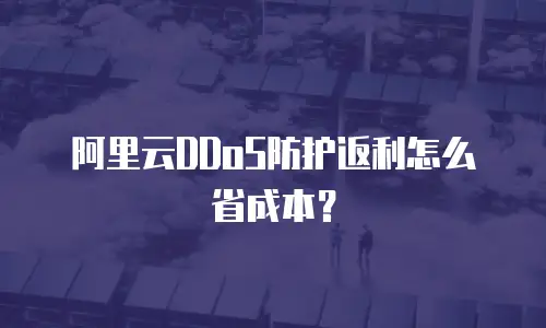 阿里云DDoS防护返利怎么省成本？