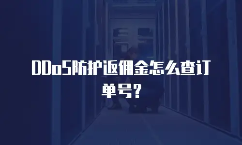 DDoS防护返佣金怎么查订单号？