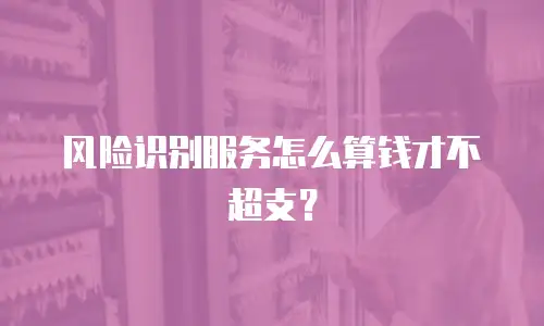 风险识别服务怎么算钱才不超支？