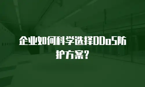 企业如何科学选择DDoS防护方案？