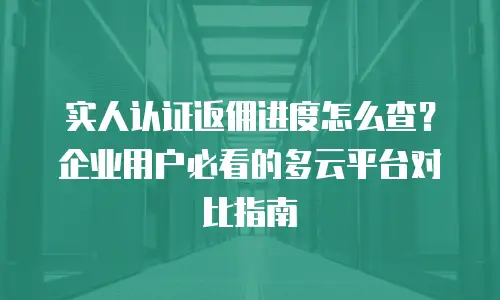 实人认证返佣进度怎么查？企业用户必看的多云平台对比指南