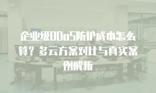 企业级DDoS防护成本怎么算？多云方案对比与真实案例解析