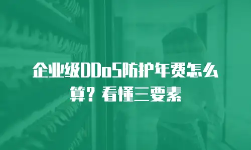 企业级DDoS防护年费怎么算？看懂三要素