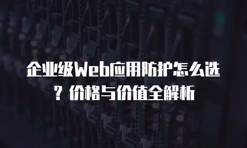 企业级Web应用防护怎么选？价格与价值全解析