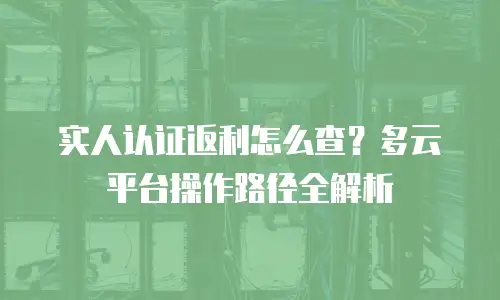 实人认证返利怎么查？多云平台操作路径全解析