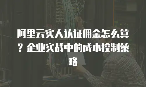 阿里云实人认证佣金怎么算？企业实战中的成本控制策略
