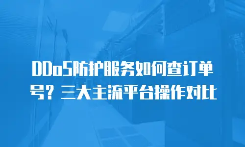 DDoS防护服务如何查订单号？三大主流平台操作对比