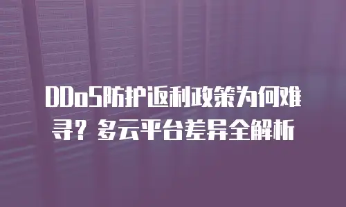 DDoS防护返利政策为何难寻？多云平台差异全解析