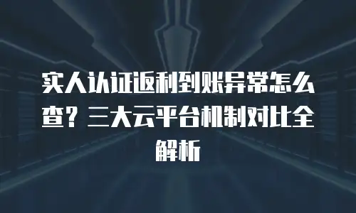 实人认证返利到账异常怎么查？三大云平台机制对比全解析