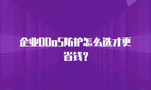 企业DDoS防护怎么选才更省钱？