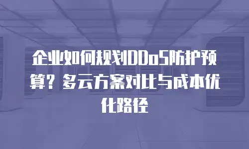 企业如何规划DDoS防护预算？多云方案对比与成本优化路径