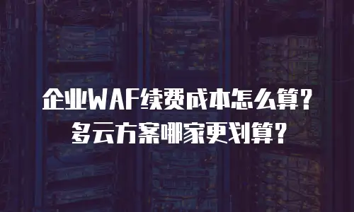 企业WAF续费成本怎么算？多云方案哪家更划算？