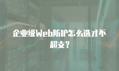 企业级Web防护怎么选才不超支？