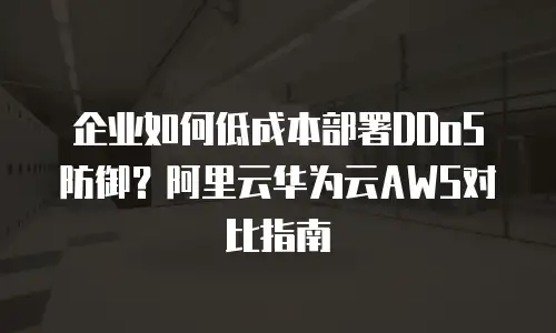 企业如何低成本部署DDoS防御？阿里云华为云AWS对比指南