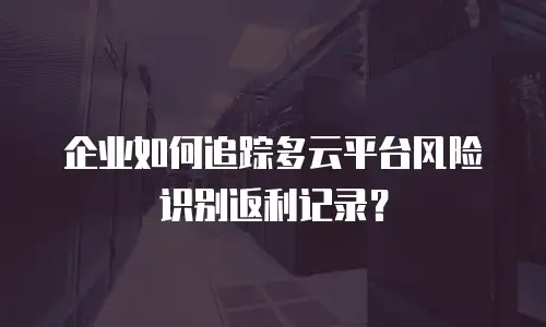 企业如何追踪多云平台风险识别返利记录？