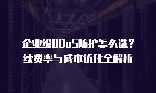 企业级DDoS防护怎么选？续费率与成本优化全解析