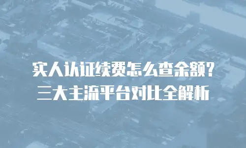 实人认证续费怎么查余额？三大主流平台对比全解析