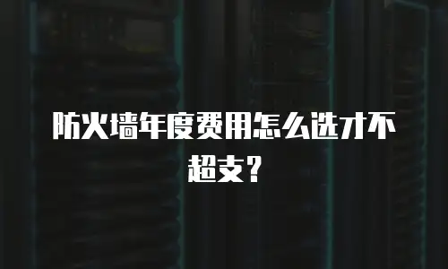 防火墙年度费用怎么选才不超支？