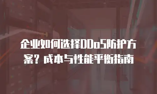 企业如何选择DDoS防护方案？成本与性能平衡指南