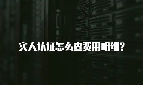 实人认证怎么查费用明细？