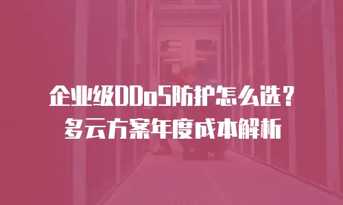 企业级DDoS防护怎么选？多云方案年度成本解析