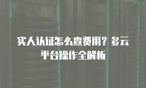 实人认证怎么查费用？多云平台操作全解析
