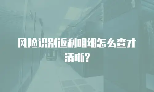 风险识别返利明细怎么查才清晰？