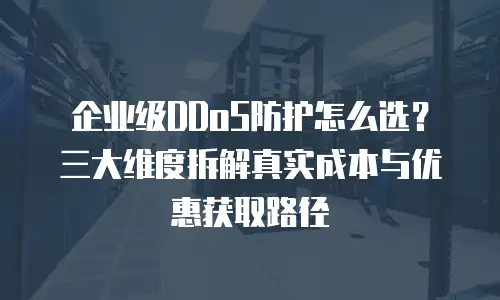 企业级DDoS防护怎么选？三大维度拆解真实成本与优惠获取路径