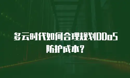 多云时代如何合理规划DDoS防护成本？