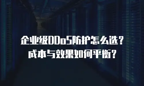 企业级DDoS防护怎么选？成本与效果如何平衡？