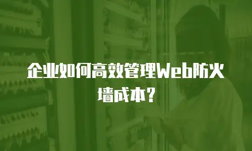 企业如何高效管理Web防火墙成本？
