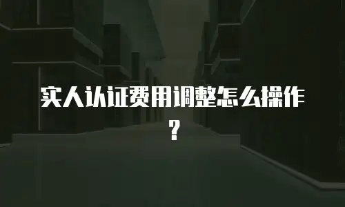 实人认证费用调整怎么操作？