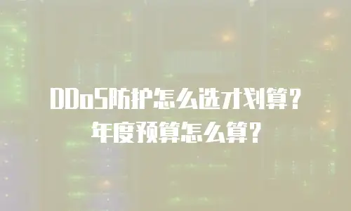 DDoS防护怎么选才划算？年度预算怎么算？