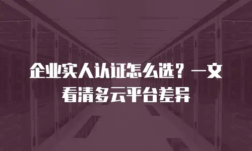 企业实人认证怎么选？一文看清多云平台差异