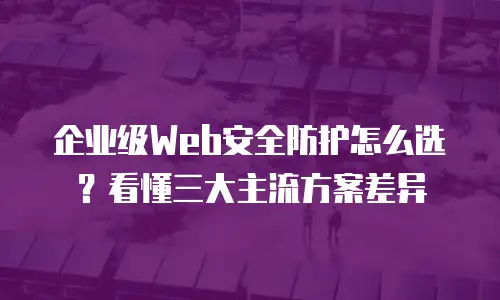 企业级Web安全防护怎么选？看懂三大主流方案差异