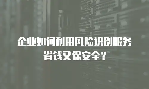 企业如何利用风险识别服务省钱又保安全？