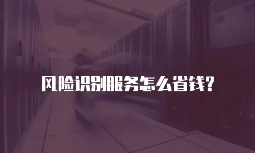 风险识别服务怎么省钱？