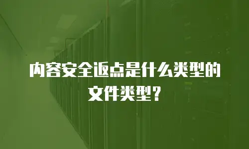 内容安全返点是什么类型的文件类型？