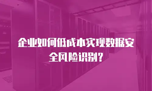 企业如何低成本实现数据安全风险识别？