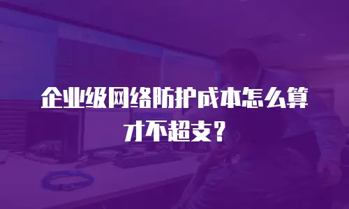 企业级网络防护成本怎么算才不超支？