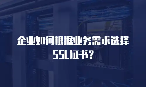 企业如何根据业务需求选择SSL证书？