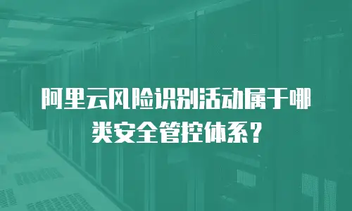 阿里云风险识别活动属于哪类安全管控体系？