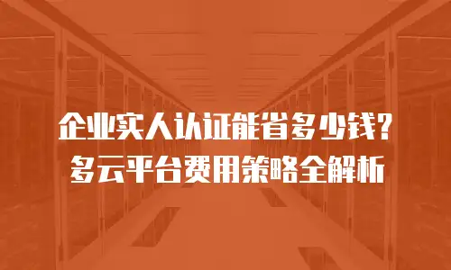 企业实人认证能省多少钱？多云平台费用策略全解析