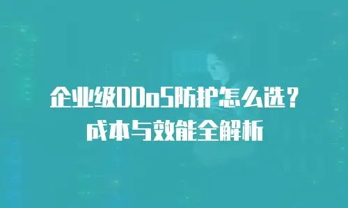 企业级DDoS防护怎么选？成本与效能全解析
