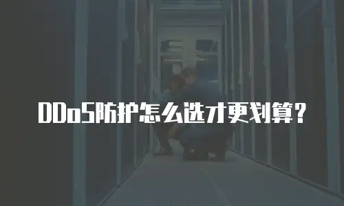 DDoS防护怎么选才更划算？