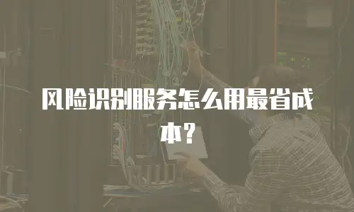 风险识别服务怎么用最省成本？
