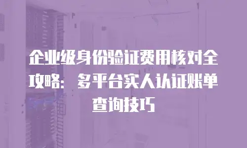 企业级身份验证费用核对全攻略：多平台实人认证账单查询技巧