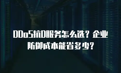 DDoS抗D服务怎么选？企业防御成本能省多少？