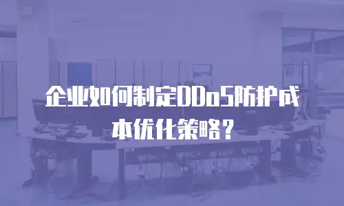 企业如何制定DDoS防护成本优化策略？