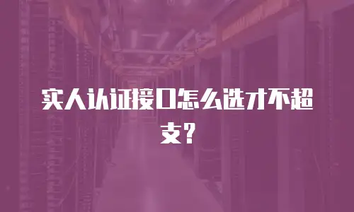 实人认证接口怎么选才不超支？